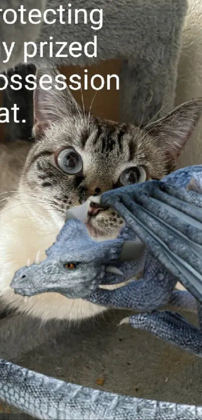 A cat and a dragon creating a whimsical scene.