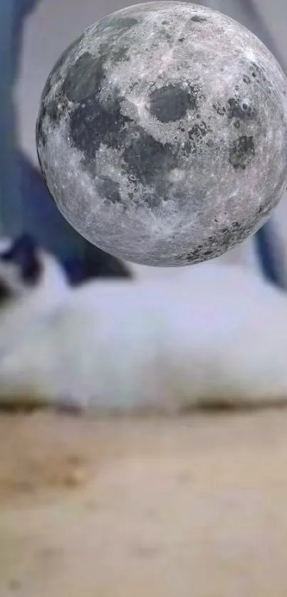 Cat lying beneath a full moon in a fantasy-themed wallpaper.