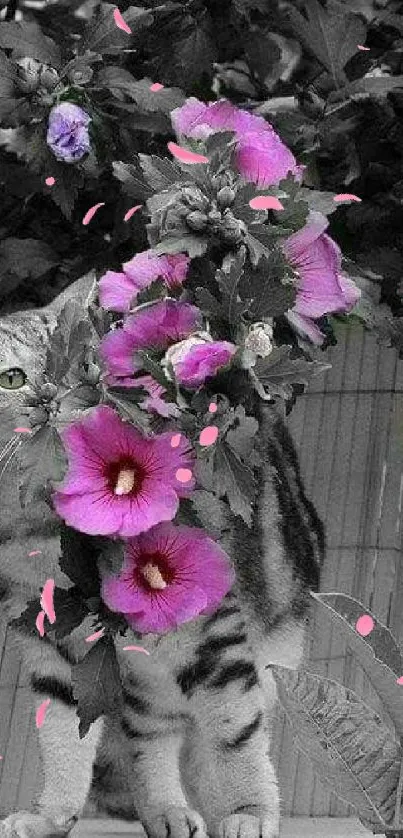 Grayscale cat with pink hibiscus flowers.