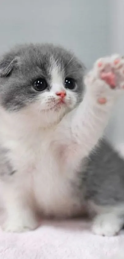 SO CUTE YOU WILL DIE Live Wallpaper