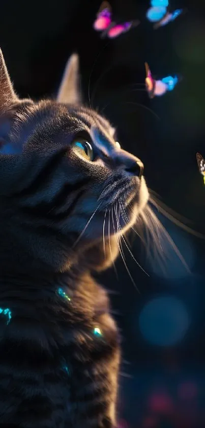 A cat captivated by colorful butterflies at night.