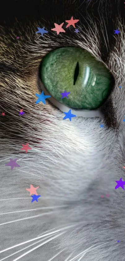 Close-up of a cat's eye with colorful stars overlay.