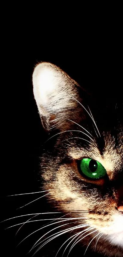 A cat's green eyes glow vividly in the dark background of this mobile wallpaper.