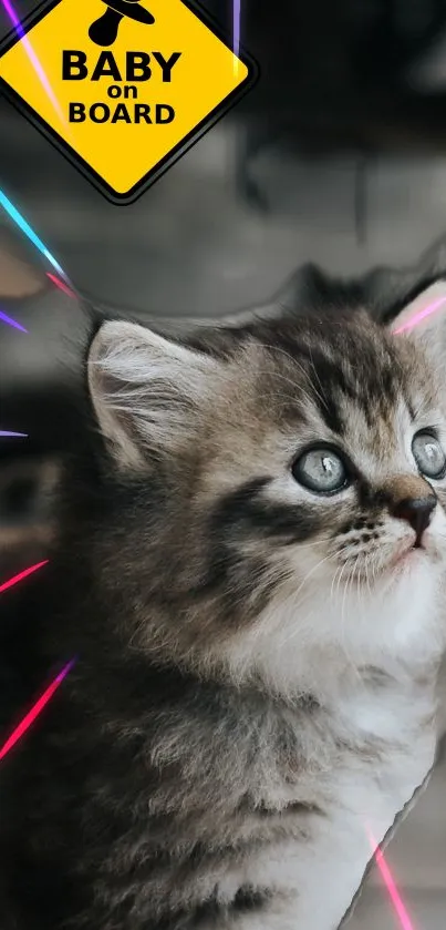 Cat Felidae Carnivore Live Wallpaper