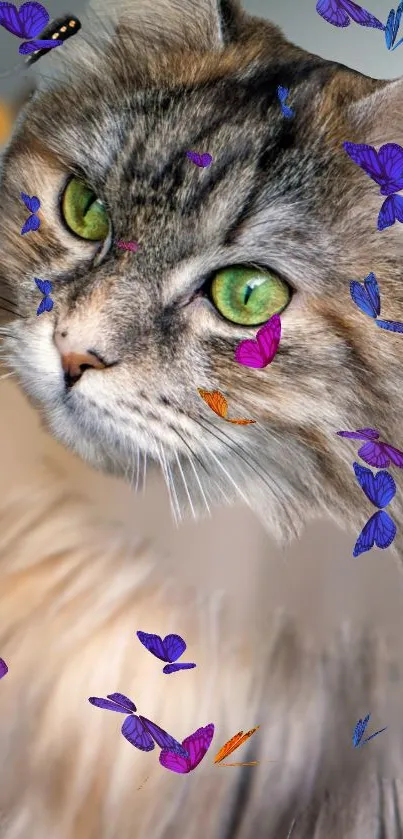 Cat Felidae Carnivore Live Wallpaper