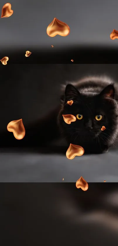 Cat Felidae Carnivore Live Wallpaper