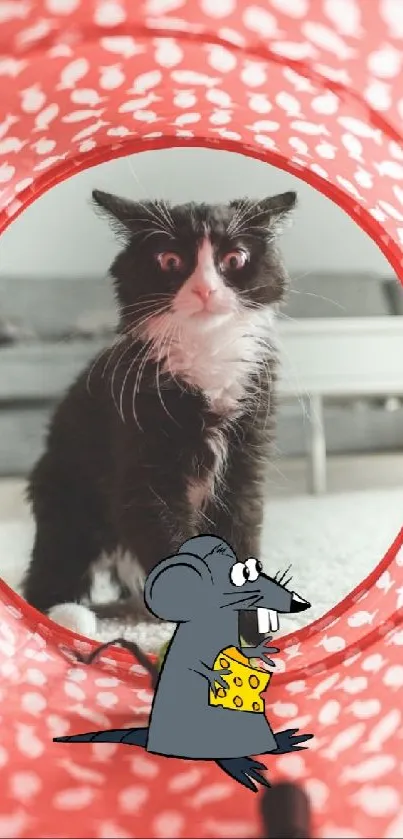 the 🐈 😻 🐈‍⬛️ 😺 🐱 😸 and the mouse 🐁 🪤 🤣 😍 😳 😂  Live Wallpaper
