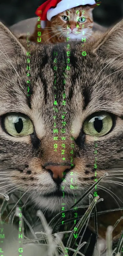 Cat Green Felidae Live Wallpaper