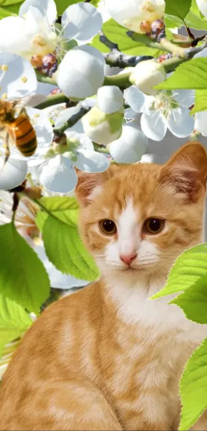 Ginger cat among white blossoms and green leaves on a mobile wallpaper.