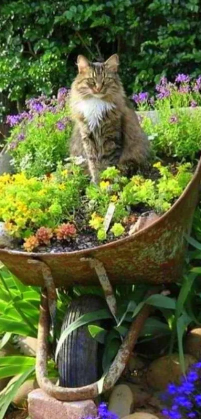 Fluffy cat sitting in a colorful flower-filled wheelbarrow garden.