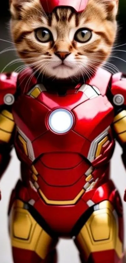 Adorable cat in iron suit superhero costume.