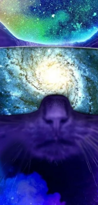 Cat wearing galaxy sunglasses with a purple cosmic background.