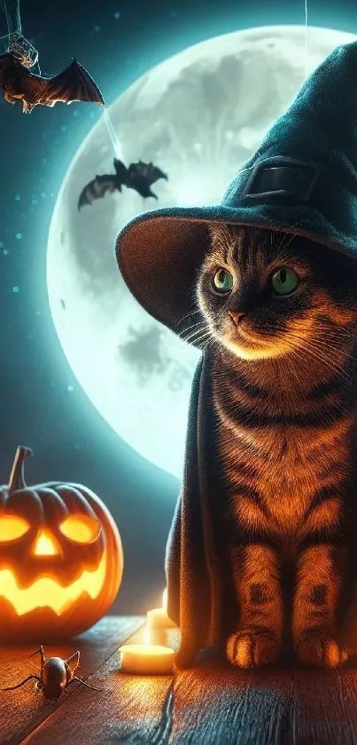 Cute cat in witch hat with pumpkins and moonlit background.