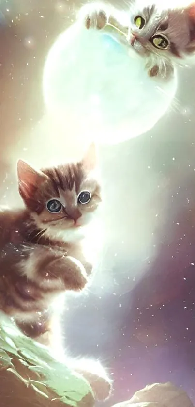 Cat Light Felidae Live Wallpaper