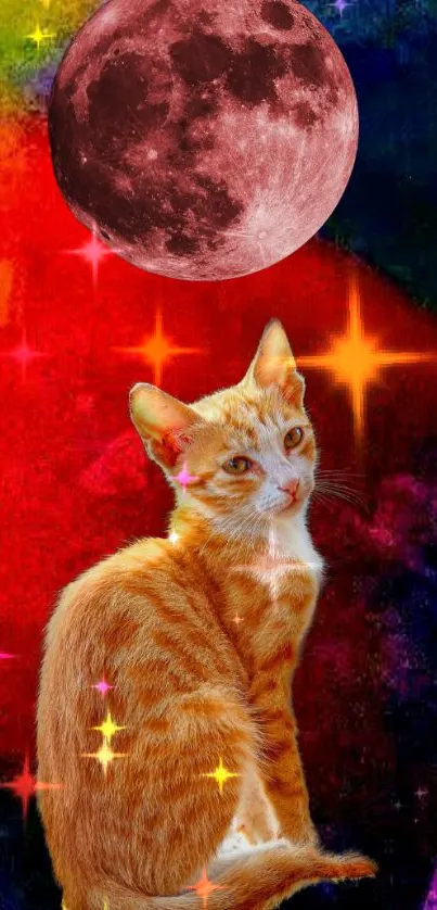 Cat Light Moon Live Wallpaper