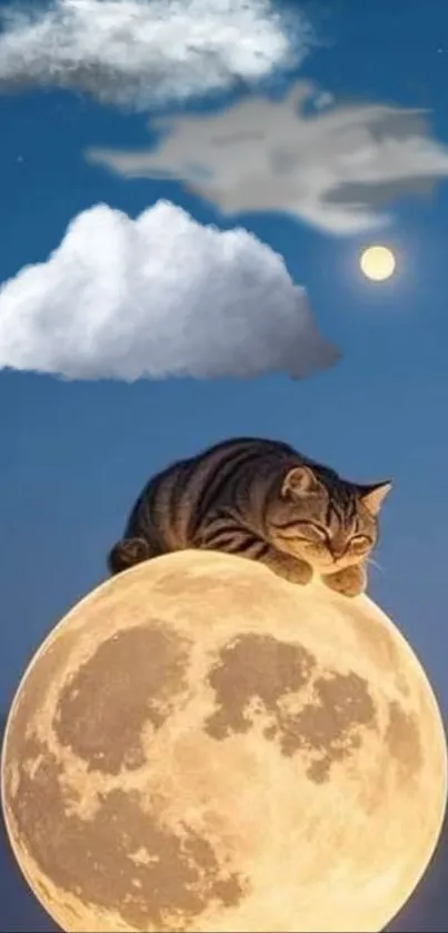 Cat Moon Felidae Live Wallpaper