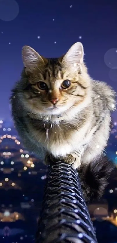 Cat on a fence with city lights in the background.