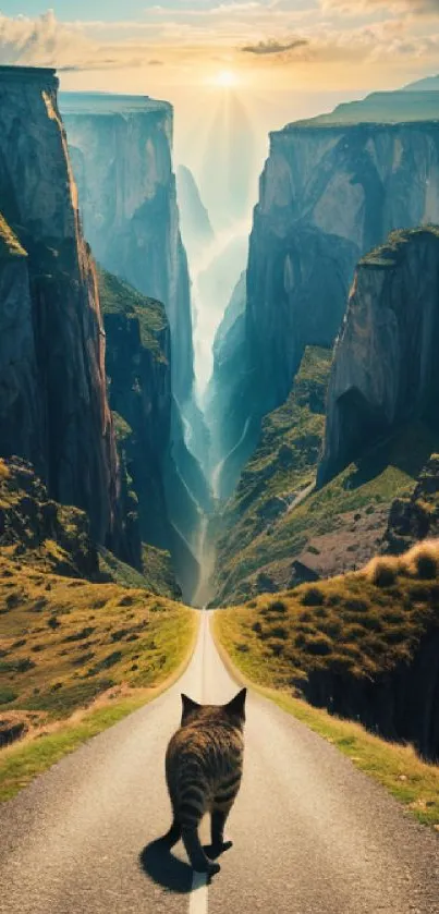 Cat walks down a scenic canyon road at sunrise, creating a picturesque view.