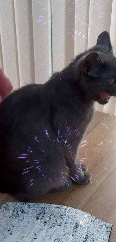 A grey cat sits on a wooden table with a coloring book.