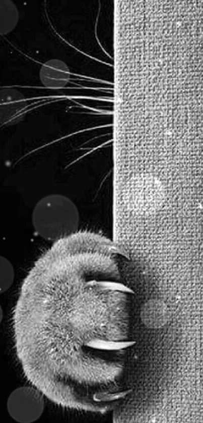 Grey cat paw peeks from behind textured surface.