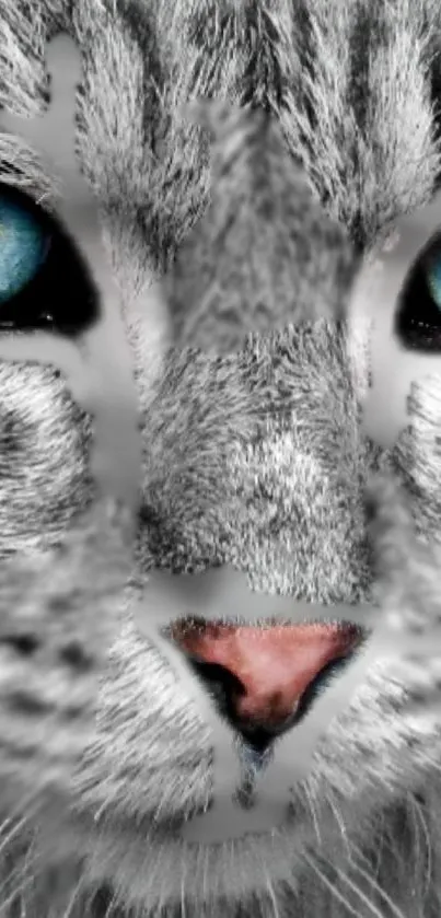 cat Live Wallpaper