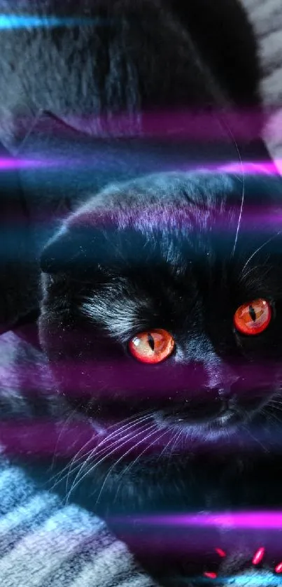 Cat Purple Felidae Live Wallpaper