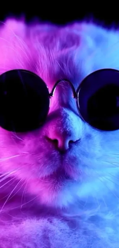 Cat Purple Vision Care Live Wallpaper