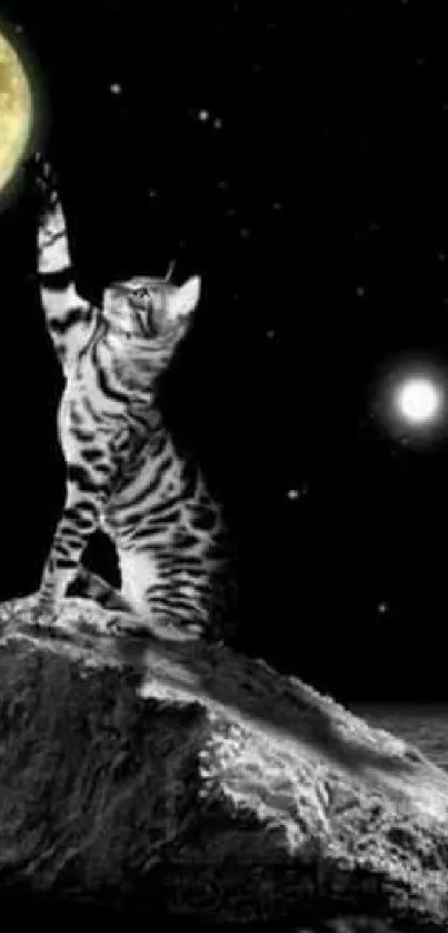 Cat reaching for a glowing moon on a starry night backdrop.