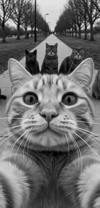 Cat takes selfie in park with friends.