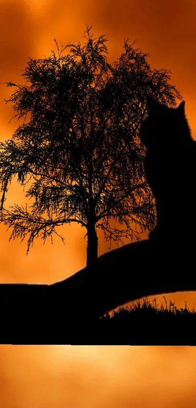 Silhouette of cat and tree against an orange sunset.