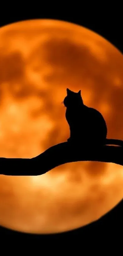 Cat silhouette on branch with orange moon background.