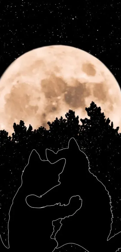 Two cats silhouetted against a full moon and starry night sky.