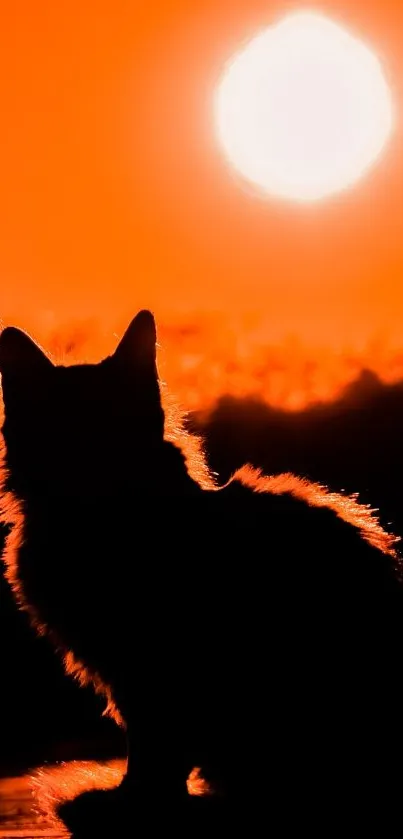 Silhouette of a cat sitting in front of a vivid orange sunset background.