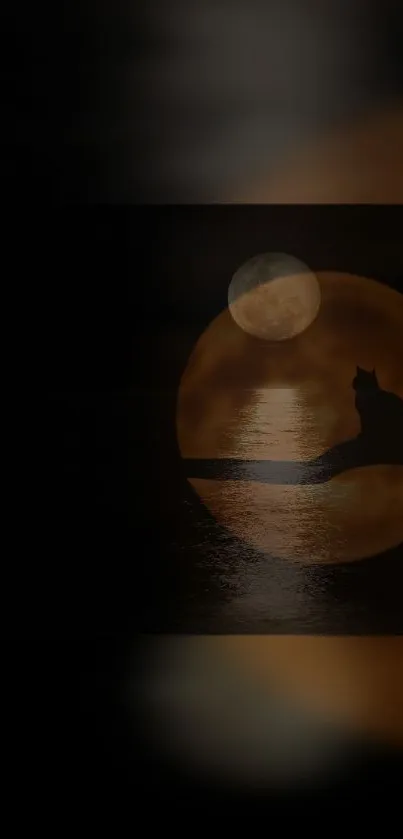 Cat silhouette on branch with full moon in background, creating a serene night scene.