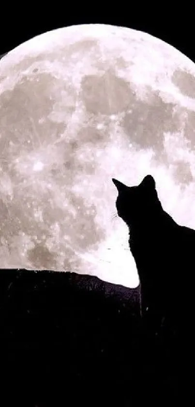 Cat silhouette with full moon background mobile wallpaper.