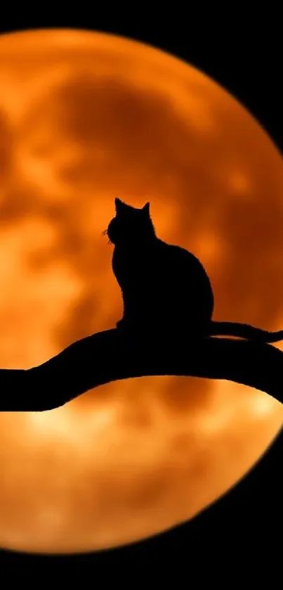 Silhouette of a cat on a branch against an orange moon.