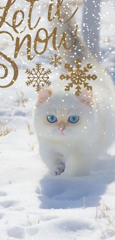 Fluffy white cat with blue eyes walking in a snow-covered field.