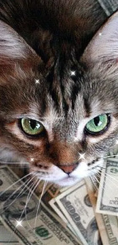 Cat surrounded by dollar bills, looking up with striking green eyes.