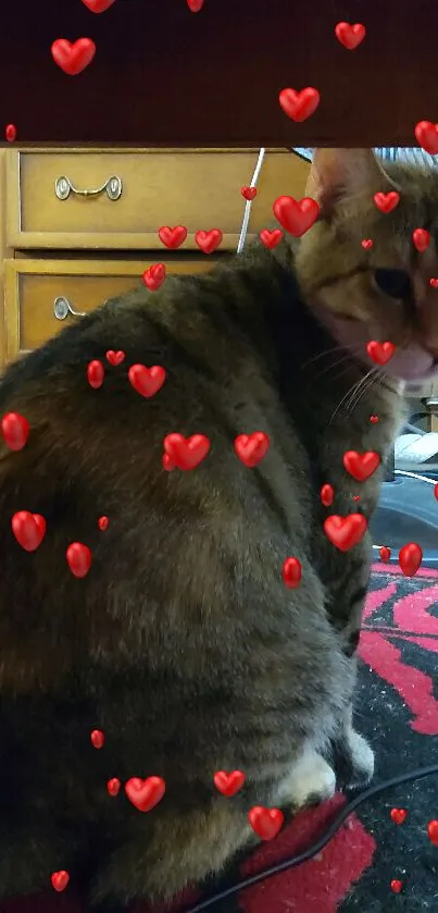 Cat sitting under a wooden desk on a red and black rug.