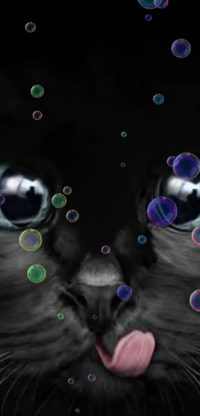 A black cat with bubbles phone wallpaper, whimsical and mysterious.