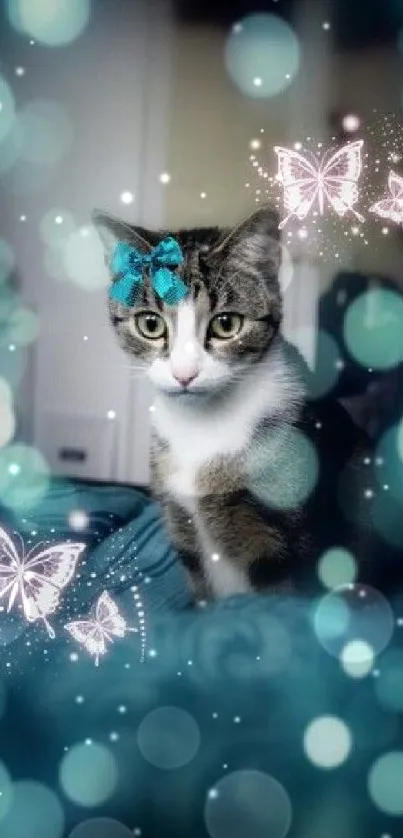 Cute cat with butterflies and aqua bokeh lights on a magical wallpaper.