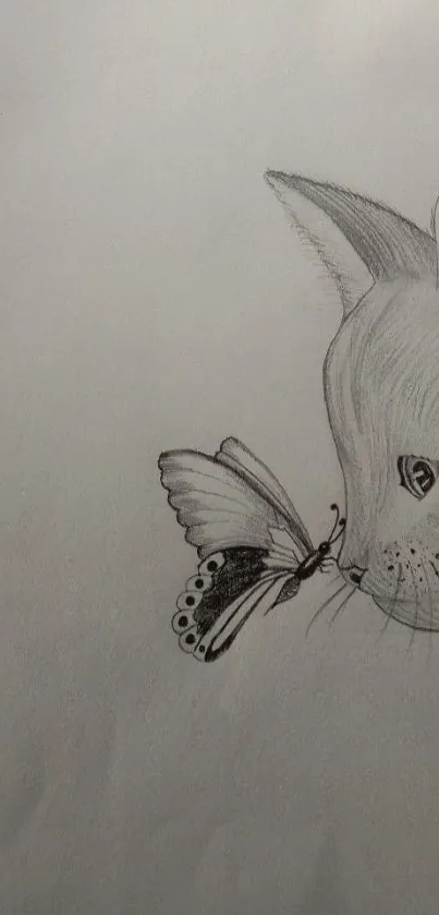 Minimalist sketch of a cat and butterfly interaction on a gray background.