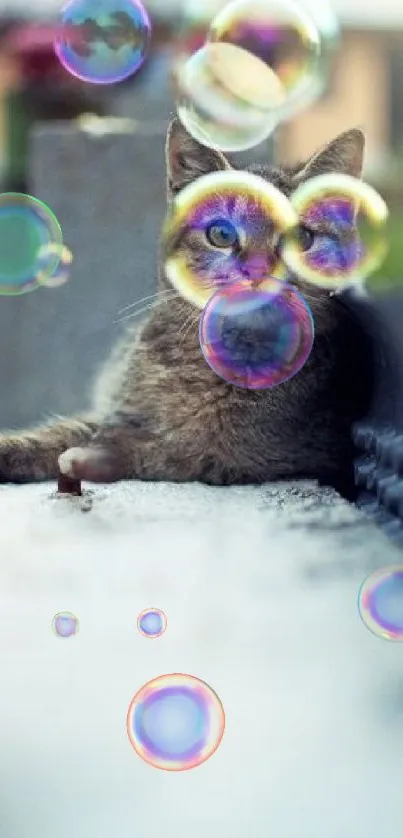 Cat lying with colorful bubbles floating around.