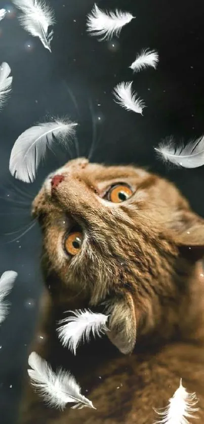 Curious cat surrounded by floating white feathers on a dark background.