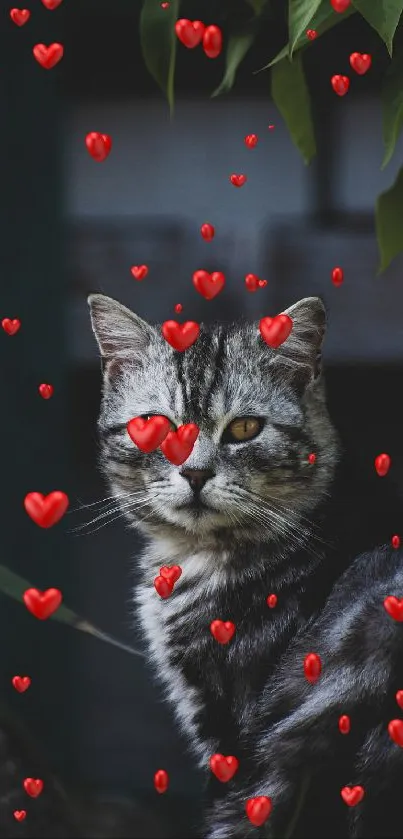 Gray cat surrounded by floating red hearts on a dark background.