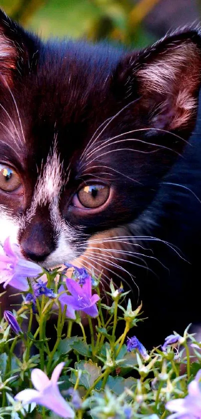 Adorable kitten sniffs purple flowers amid lush green foliage.