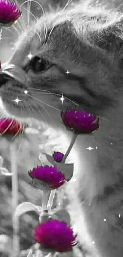 Cute cat with vibrant purple flowers in a mobile wallpaper.