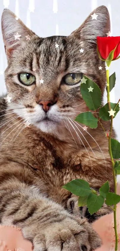 Majestic cat with rose on mobile wallpaper.