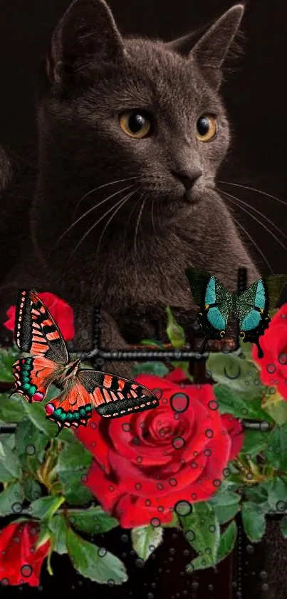 Grey cat with red roses and butterflies on a dark background.