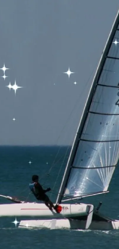 Catamaran sailing on a calm ocean under a clear blue sky.